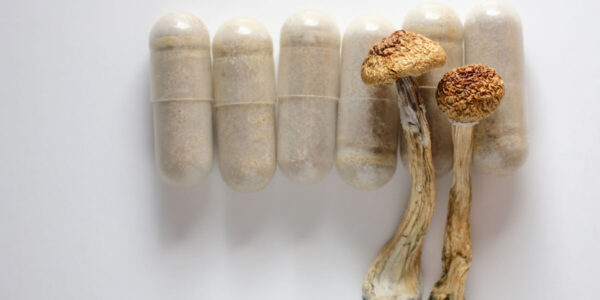 Mushroom Capsules vs Dried Mushrooms: Which Option Is Better?