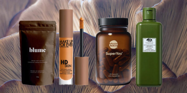 Best Magic Mushroom Products for Beginners: A Complete Guide