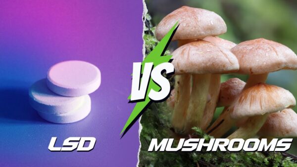 Psilocybin vs LSD: Understanding the Differences Between Two Psychedelics